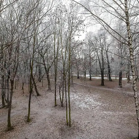 Modern With Parking And Balcony Near The Center By Renters *