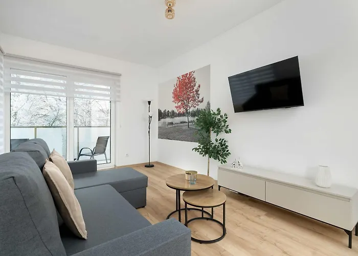 Modern With Parking And Balcony Near The Center By Renters