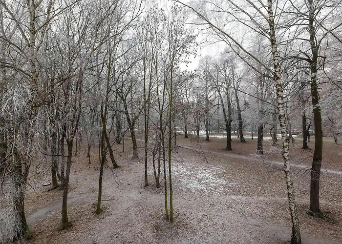 Modern With Parking And Balcony Near The Center By Renters *